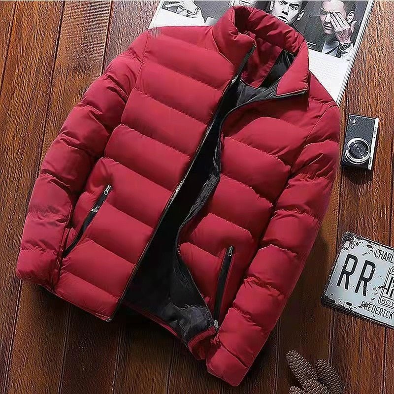 down jacket for men with stand-up collar 